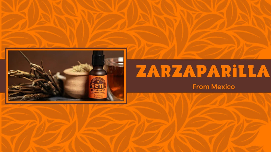 Unveiling the Potent Power of Mexican Sarsaparilla Root - Setú® Skincare for Men with Latin American Ingredients
