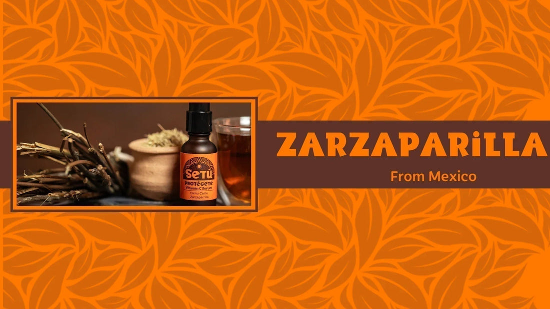 Unveiling the Potent Power of Mexican Sarsaparilla Root - Setú® Skincare for Men with Latin American Ingredients