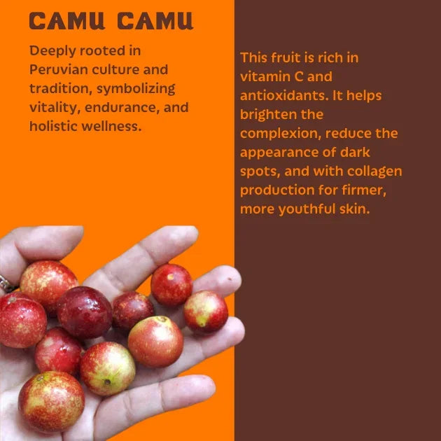 Hand holding camu camu berries with text about its cultural significance and health benefits on an orange and brown background.