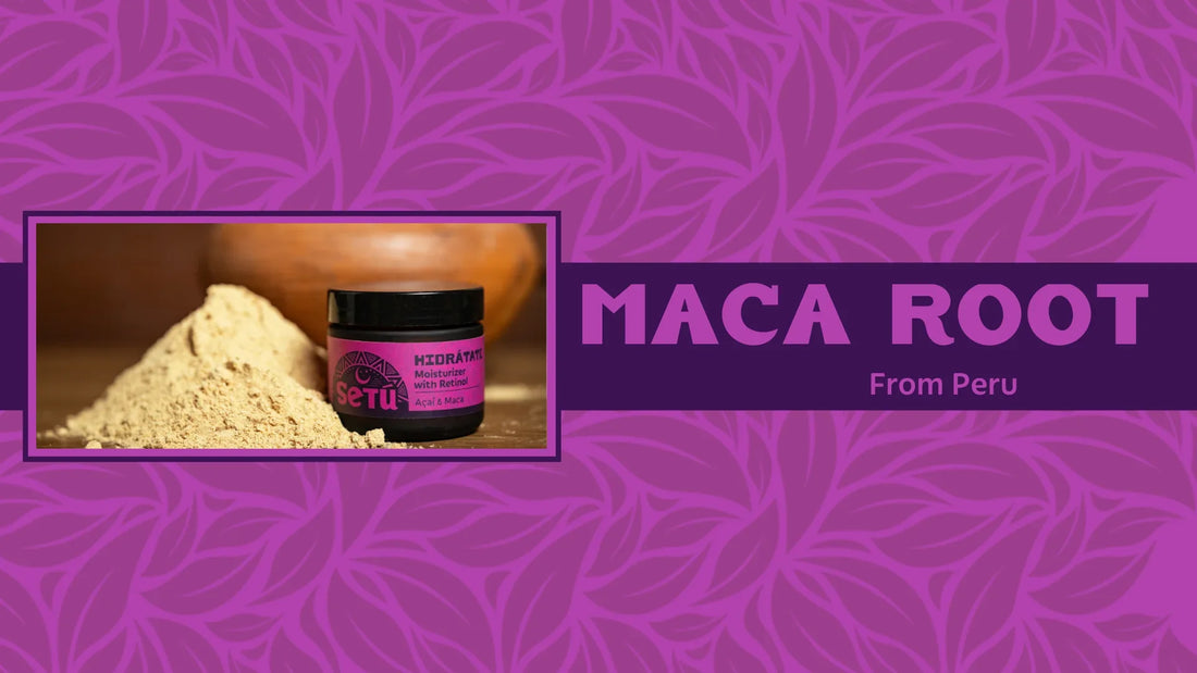 maca root Setu Skincare for Men Blog Banner
