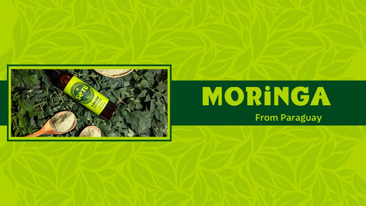 moringa Setu Skincare for Men Blog Banner