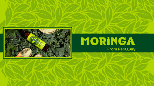 Paraguayan Moringa: The Natural Powerhouse Behind Your Daily Cleanser