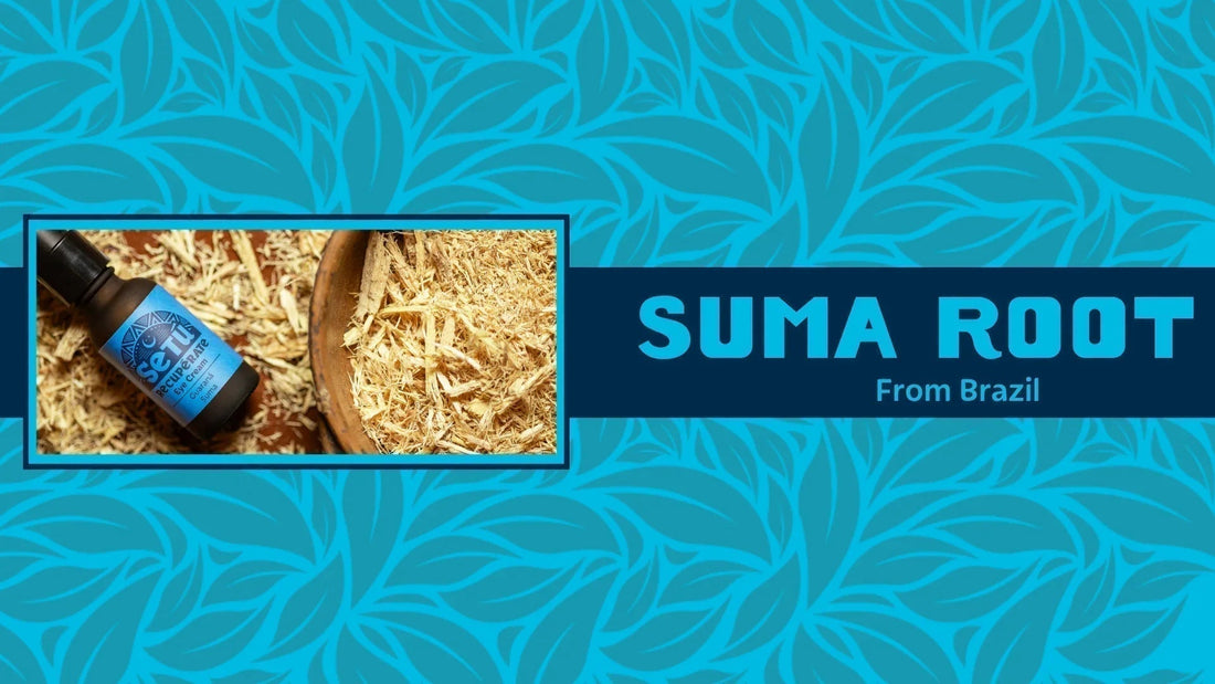 Unlocking the Secrets of Suma Root: The Hidden Gem in Personal Care - Setú® Skincare for Men with Latin American Ingredients