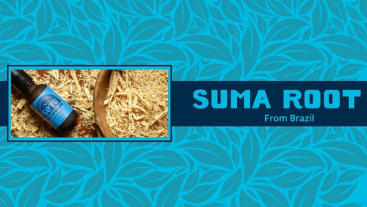 Unlocking the Secrets of Suma Root: The Hidden Gem in Personal Care - Setú® Skincare for Men with Latin American Ingredients