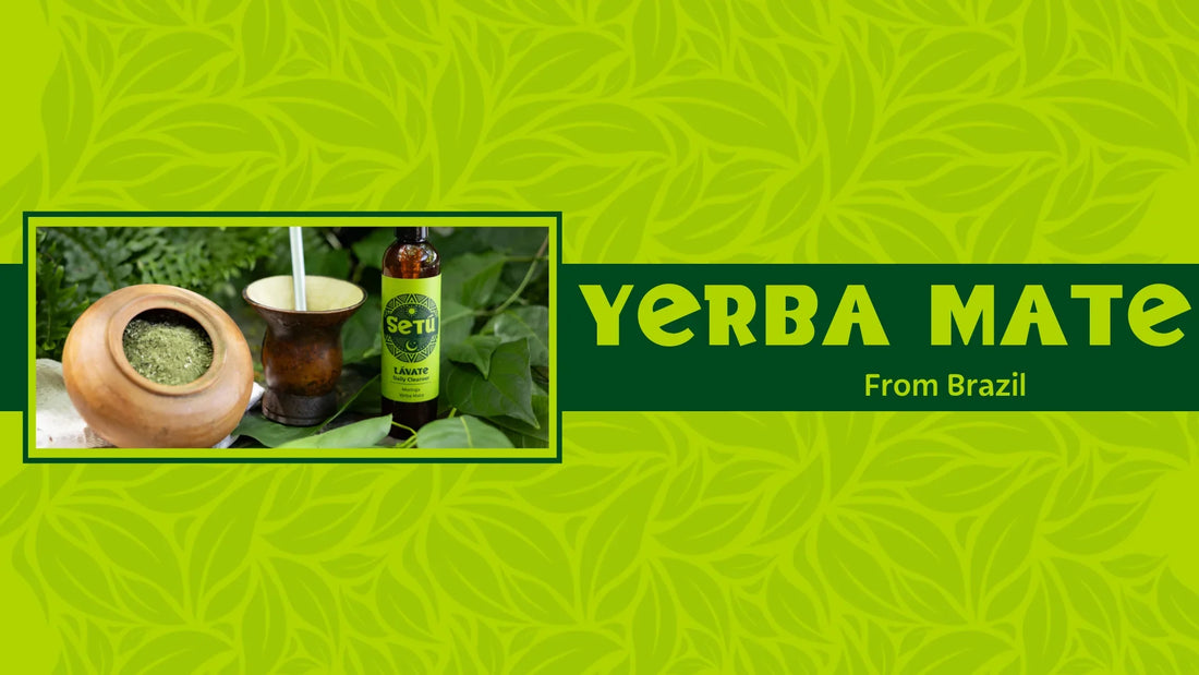yerba mate Setu Skincare for Men Blog Banner