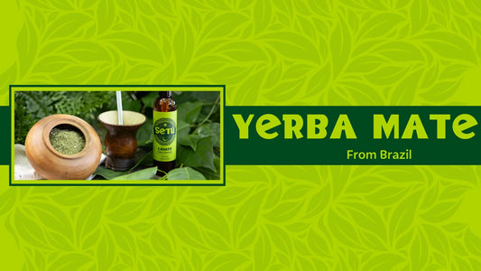 yerba mate Setu Skincare for Men Blog Banner