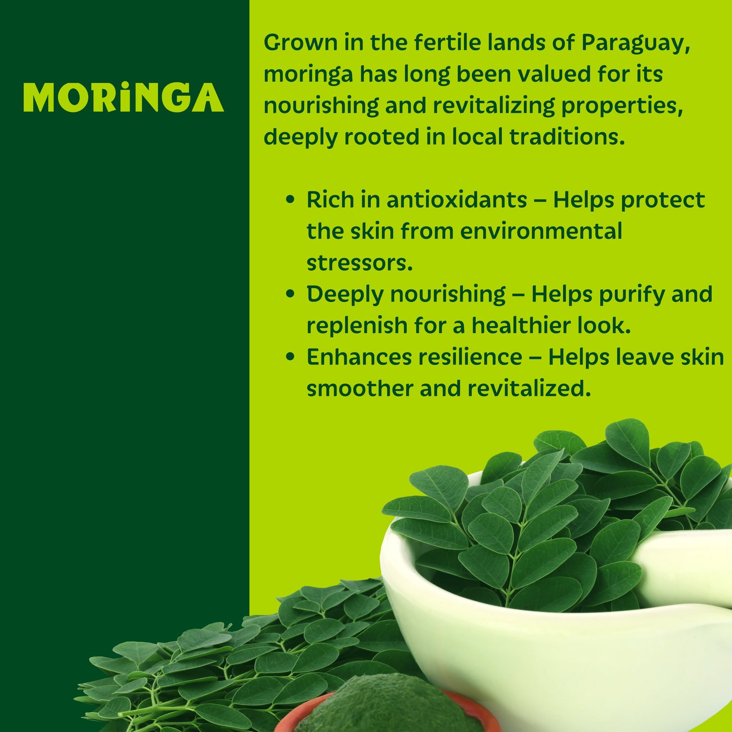 Setú® Daily Cleanser with Moringa & Yerba Mate