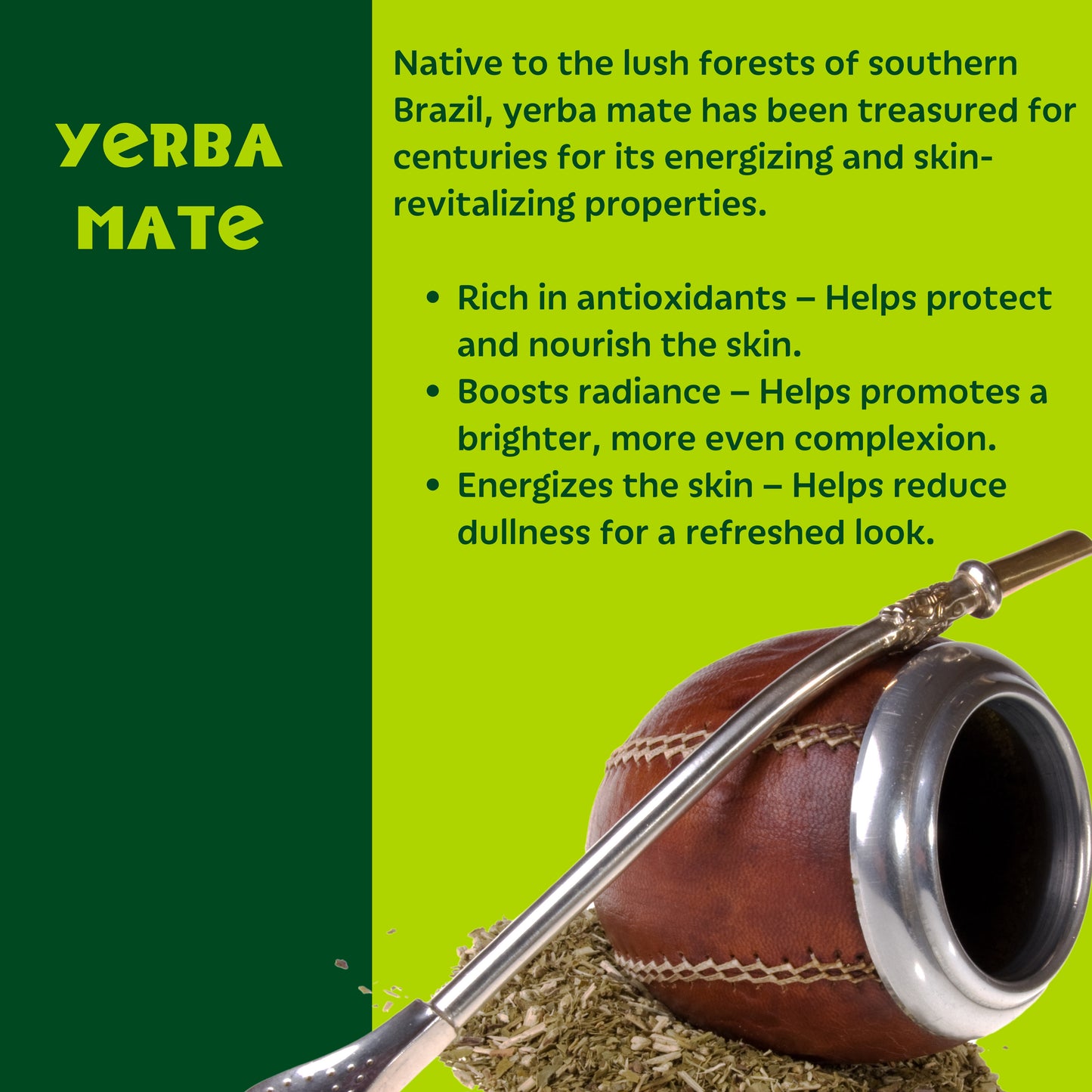 Setú® Daily Cleanser with Moringa & Yerba Mate