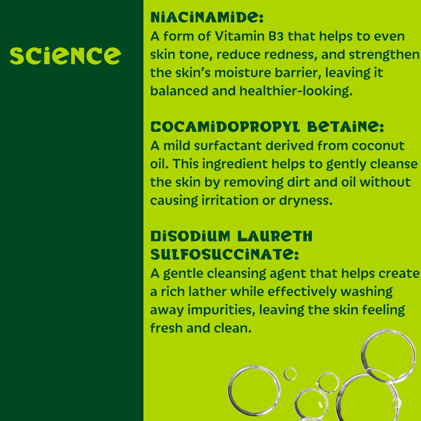 Setú® Daily Cleanser with Moringa & Yerba Mate