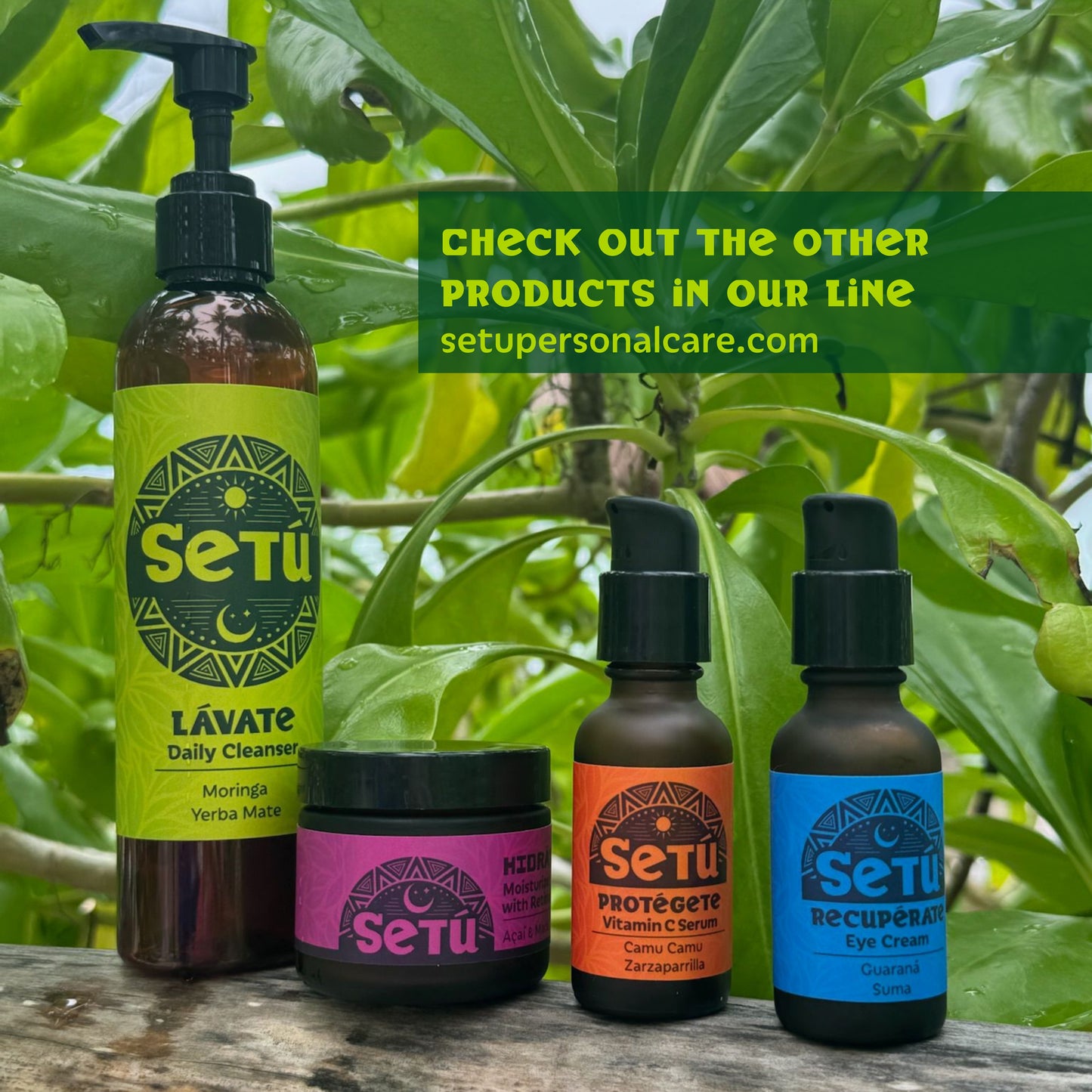 Setú® Daily Cleanser with Moringa & Yerba Mate