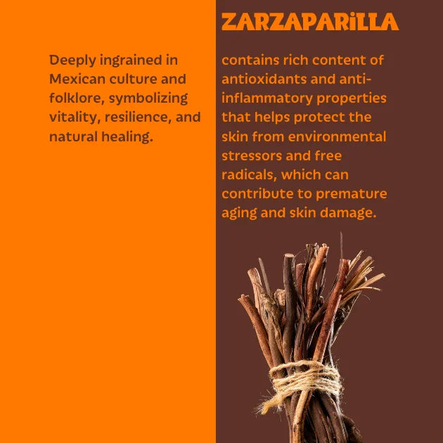 Bunch of dried zarzaparilla against an orange and brown background with text about its cultural significance and health benefits.