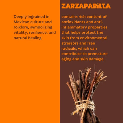 Bunch of dried zarzaparilla against an orange and brown background with text about its cultural significance and health benefits.