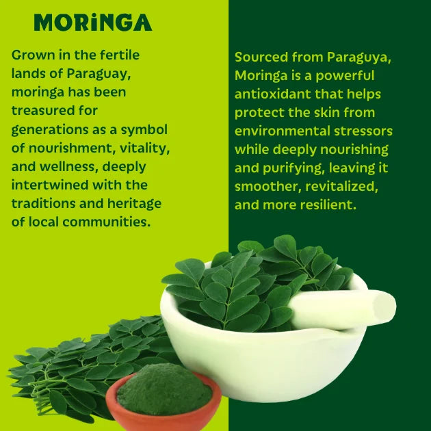 Moringa leaves, powder, and a mortar and pestle on a green background with text about its benefits.