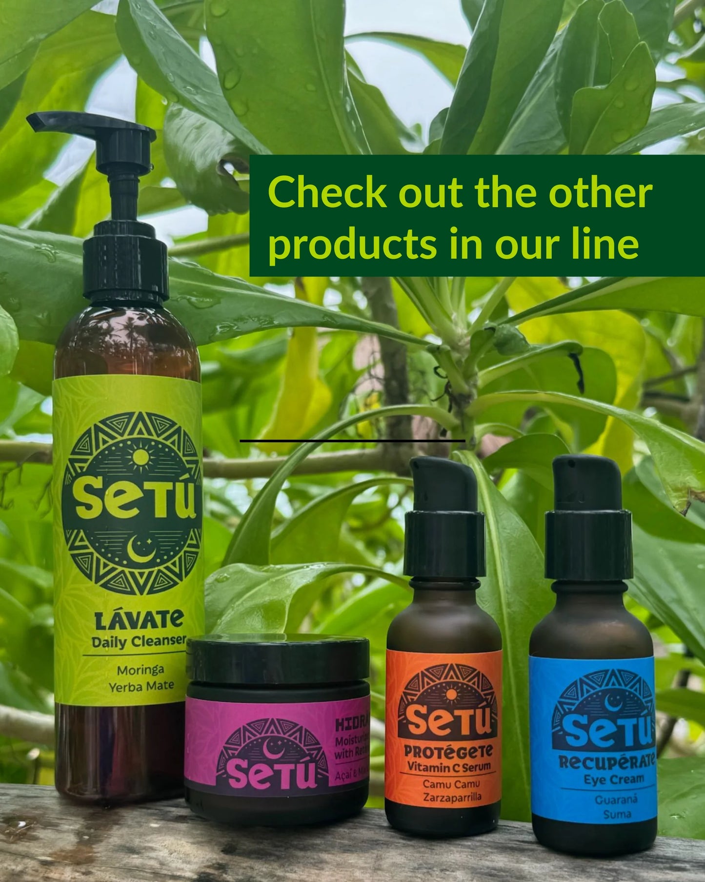 Setú® Daily Cleanser for Men with Moringa & Yerba Mate | Gentle Face Wash