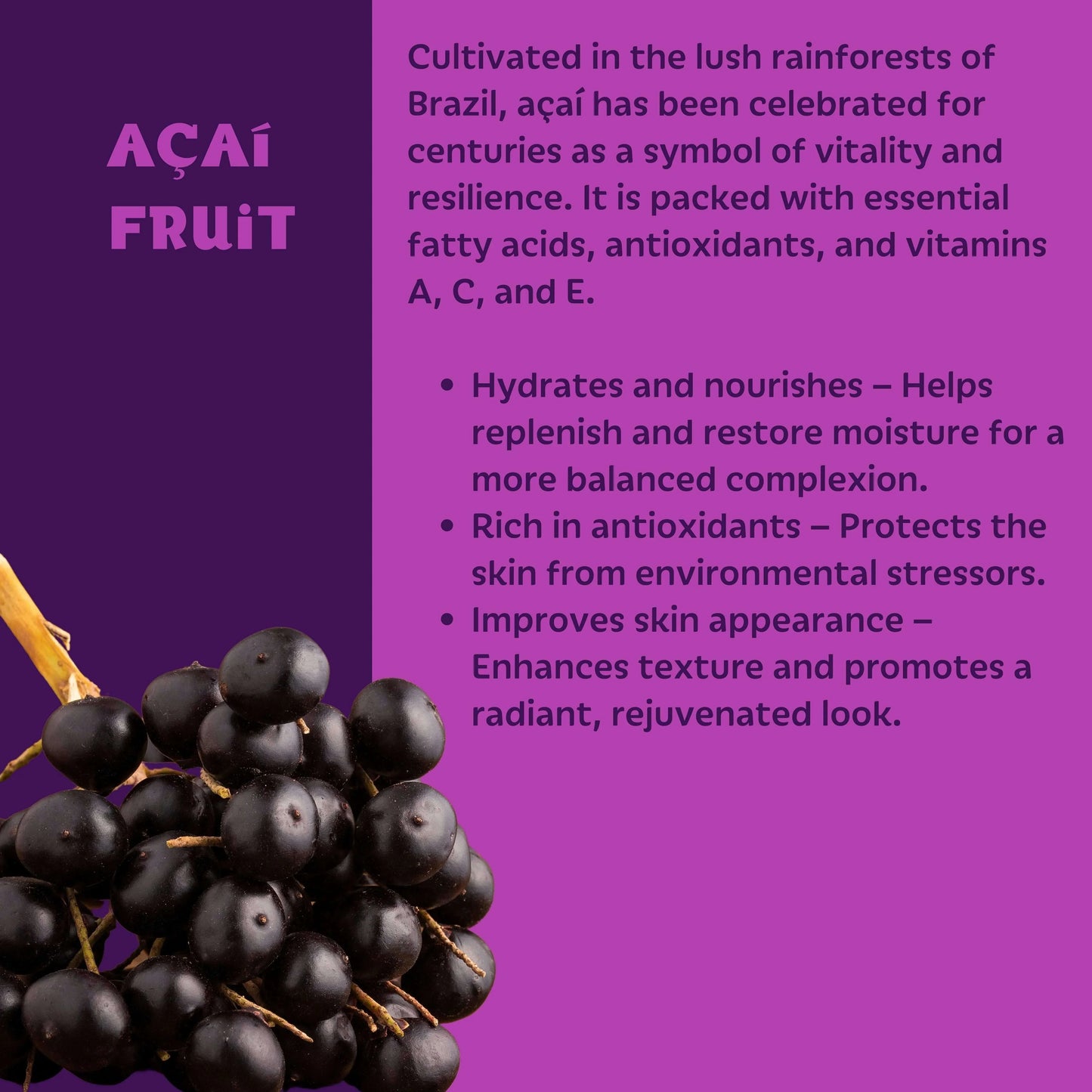 Setu_Moisturizer_with_Acai_Fruit - Setú® Skincare for Men with Latin American Ingredients