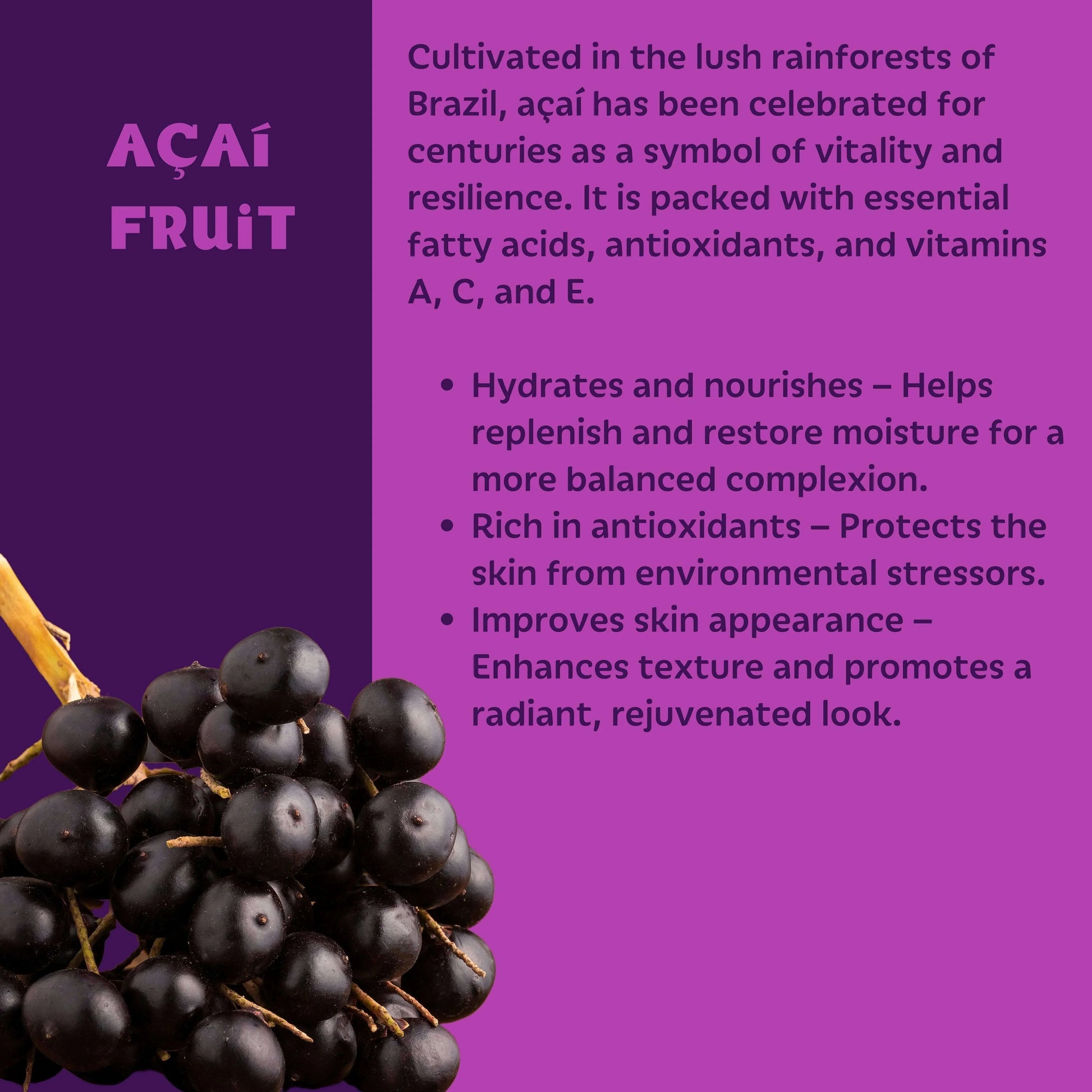 Setu_Moisturizer_with_Acai_Fruit - Setú® Skincare for Men with Latin American Ingredients