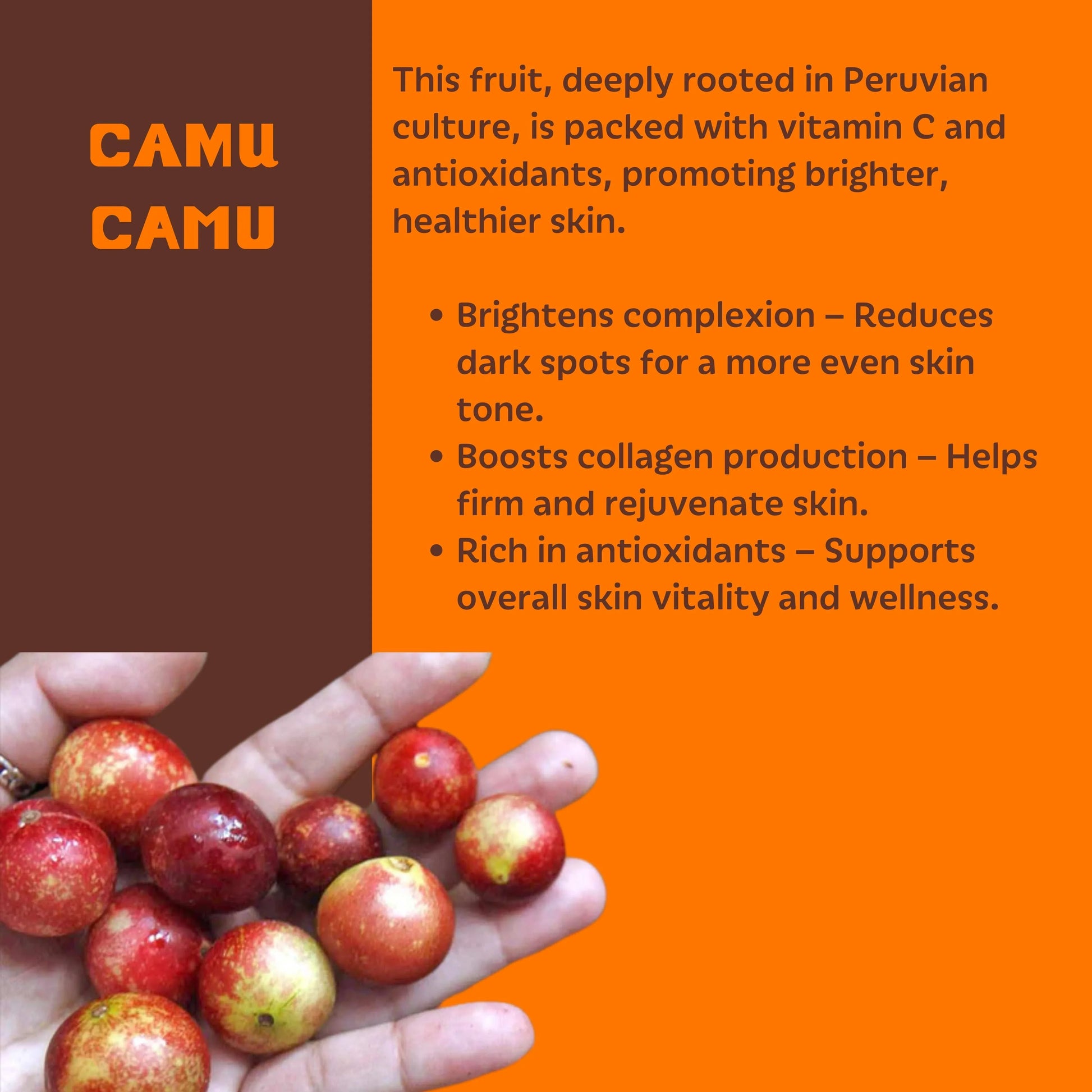 Setu_Vitamin_C_Serum_with_Camu_Camu - Setú® Skincare for Men with Latin American Ingredients