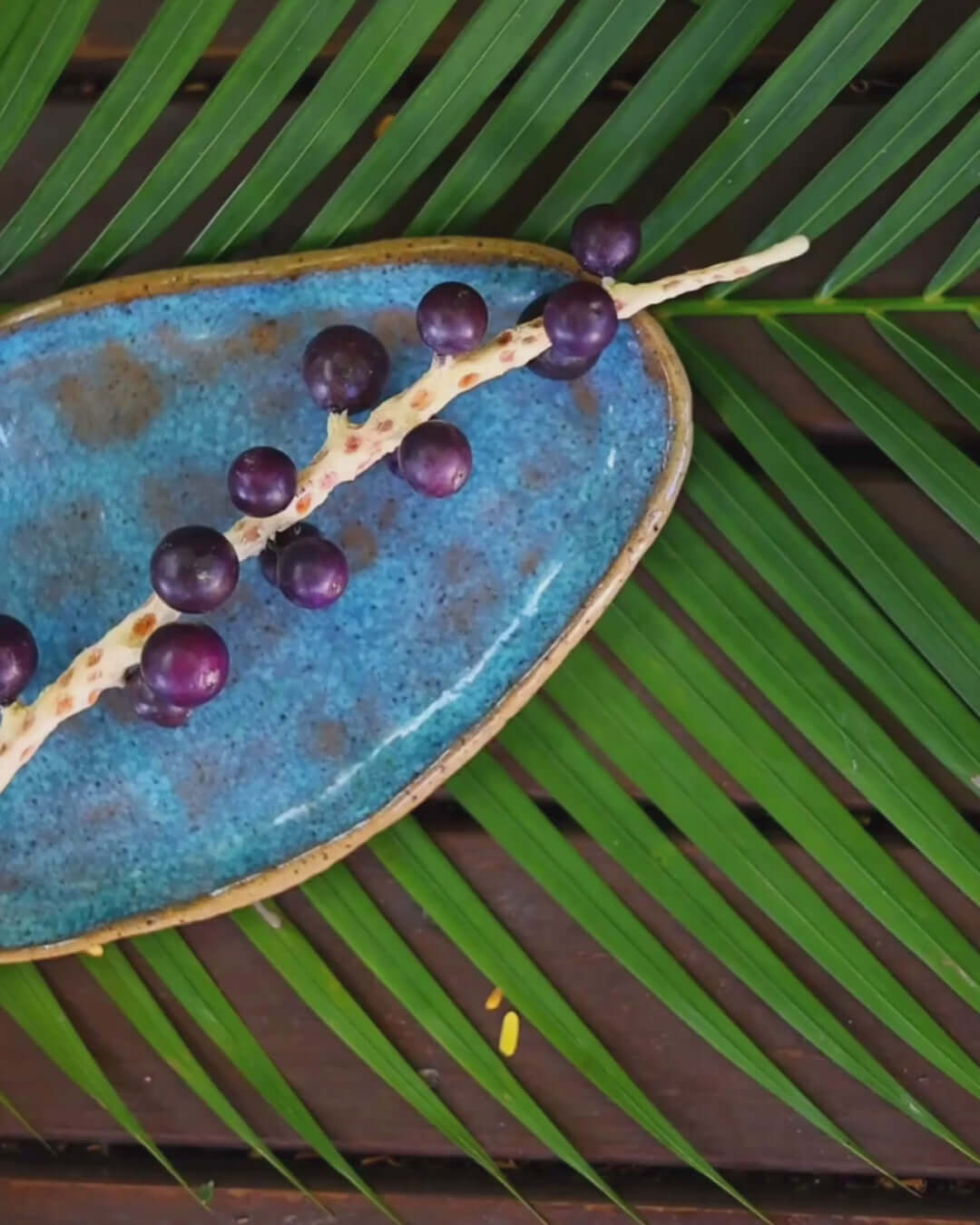Setú® Moisturizer Video with Acai Fruit