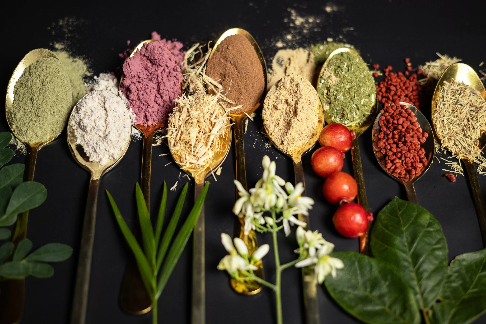 Spoons of Latin American ingredients